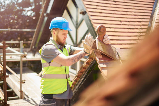 Best Roof Maintenance Services  in Mount Vernon, VA